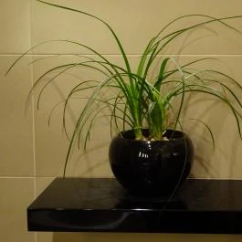 Continental Hotel Budapest Budapest - Egyéb