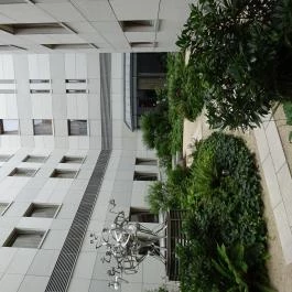 Continental Hotel Budapest Budapest - Medence/kert