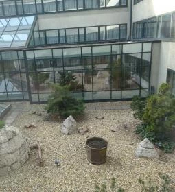 The Aquincum Hotel Budapest