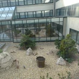 Verdi Budapest Aquincum Budapest - Külső kép