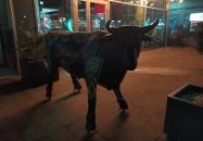 Cortez Restaurante & Bar Budapest