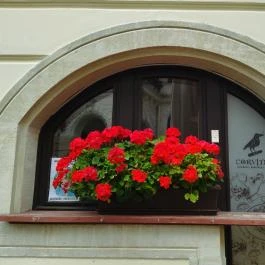 Corvinus Étterem Sopron - Egyéb