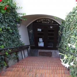 Corvinus Étterem Sopron - Külső kép