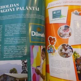 Costa Coffee - Westend City Center Budapest - Egyéb