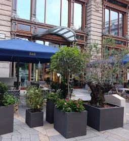 Cova Budapest - Matild Palace