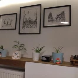 Crafty Café Budapest - Belső