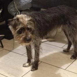 Crafty Café Budapest - Egyéb