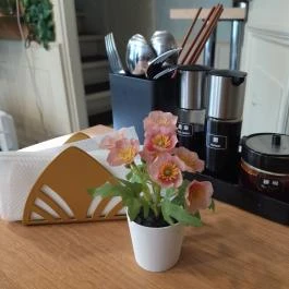 Crane Ramen Budapest - Egyéb