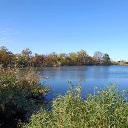 Csemegi-tó, Szeged - Egyéb