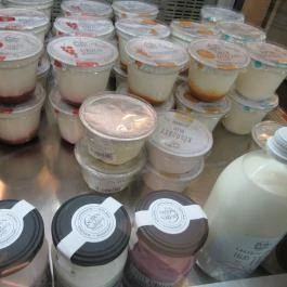 Cserpes Tejivó - Sütő utca Budapest - Étel/ital