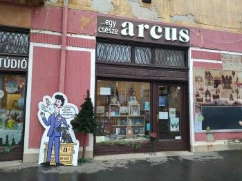 egy csésze ARCUS Vác