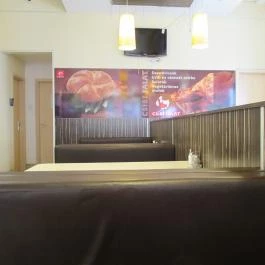 Csibefalat - Ráday utca Budapest - Belső