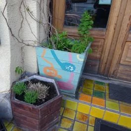 Csiga Café Budapest - Egyéb