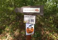 Csiga-túra Tanösvény Zalakaros Zalakaros