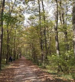 13. legjobb látnivaló: Csiga-túra Tanösvény Zalakaros