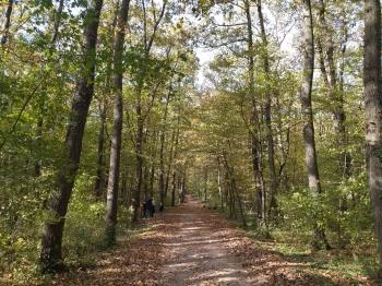 Csiga-túra Tanösvény Zalakaros Zalakaros