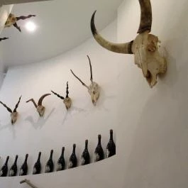 Csíki Söröző & Étterem - Mechwart Liget Budapest - Egyéb