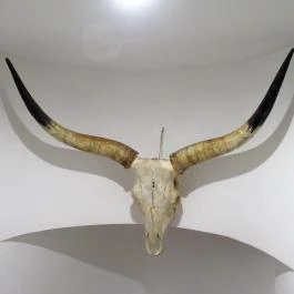 Csíki Söröző & Étterem - Mechwart Liget Budapest - Egyéb