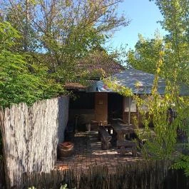 Csikó Borozó Lajosmizse - Egyéb