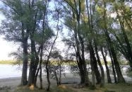 Csillag Büfé Budapest