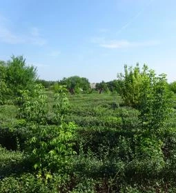 Csillagösvény Élménypark 