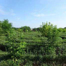 Csillagösvény Élménypark Ópusztaszer - Egyéb