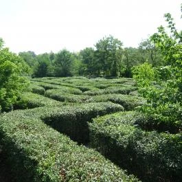 Csillagösvény Élménypark Ópusztaszer - Egyéb