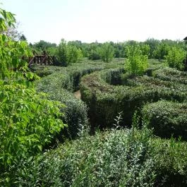 Csillagösvény Élménypark Ópusztaszer - Egyéb