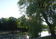 Csónakház Büfé Mátrafüred