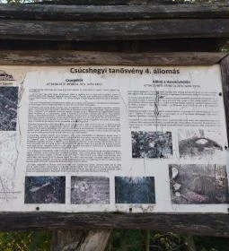 251. legjobb látnivaló: Csúcshegyi tanösvény