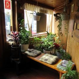 Csülök Csárda Miskolc - Belső