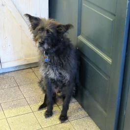 Cube Coffee Bar Budapest - Egyéb