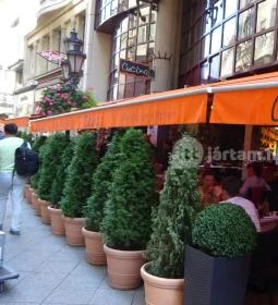 Cucina Olasz Étterem