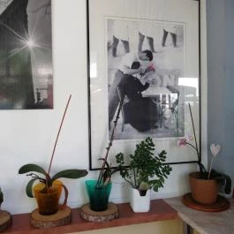 Cukorka Kávéház & Grillterasz, Budapest - Belső