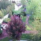 D-Hotel Gyula - Környék