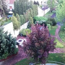 D-Hotel Gyula - Környék