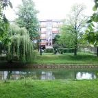 D-Hotel Gyula - Környék