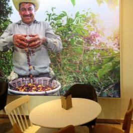 Daisuke Café & Wine Budapest - Egyéb