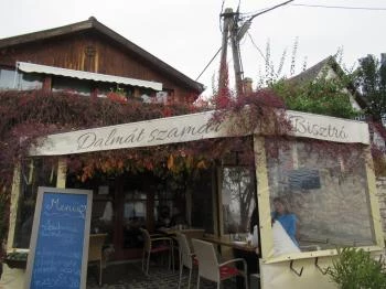 Dalmát Szamár Bisztró Szentendre