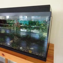 Dandár Gyógyfürdő Budapest - Egyéb