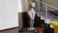 Dandár Gyógyfürdő Budapest -  Dandár Gyógyfürdő Budapest -
