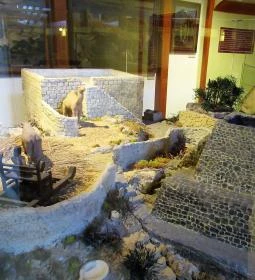 Debrecen-Nagytemplomi Református Egyházközség