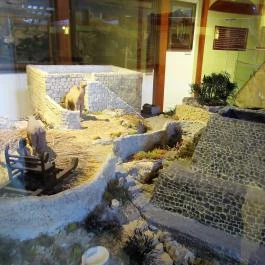 Debrecen-Nagytemplomi Református Egyházközség Debrecen - Egyéb