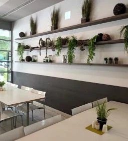 Delirest Science Park Étterem