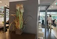 Delirest Science Park Étterem Budapest