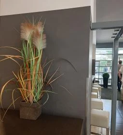 Delirest Science Park Étterem