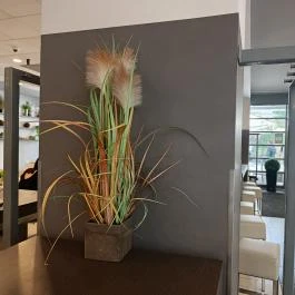 Delirest Science Park Étterem Budapest - Egyéb