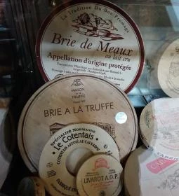 Delizia Gourmet & More