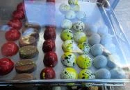 Demeter Chocolate Kiskunlacháza