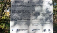 Dendrológiai Tanösvény, Fehérvárcsurgó